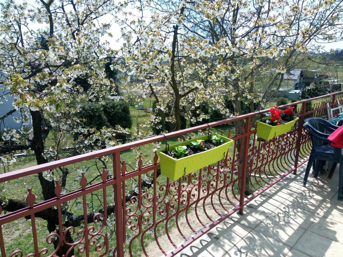 Homestay Strozowka Gorlice Exterior photo